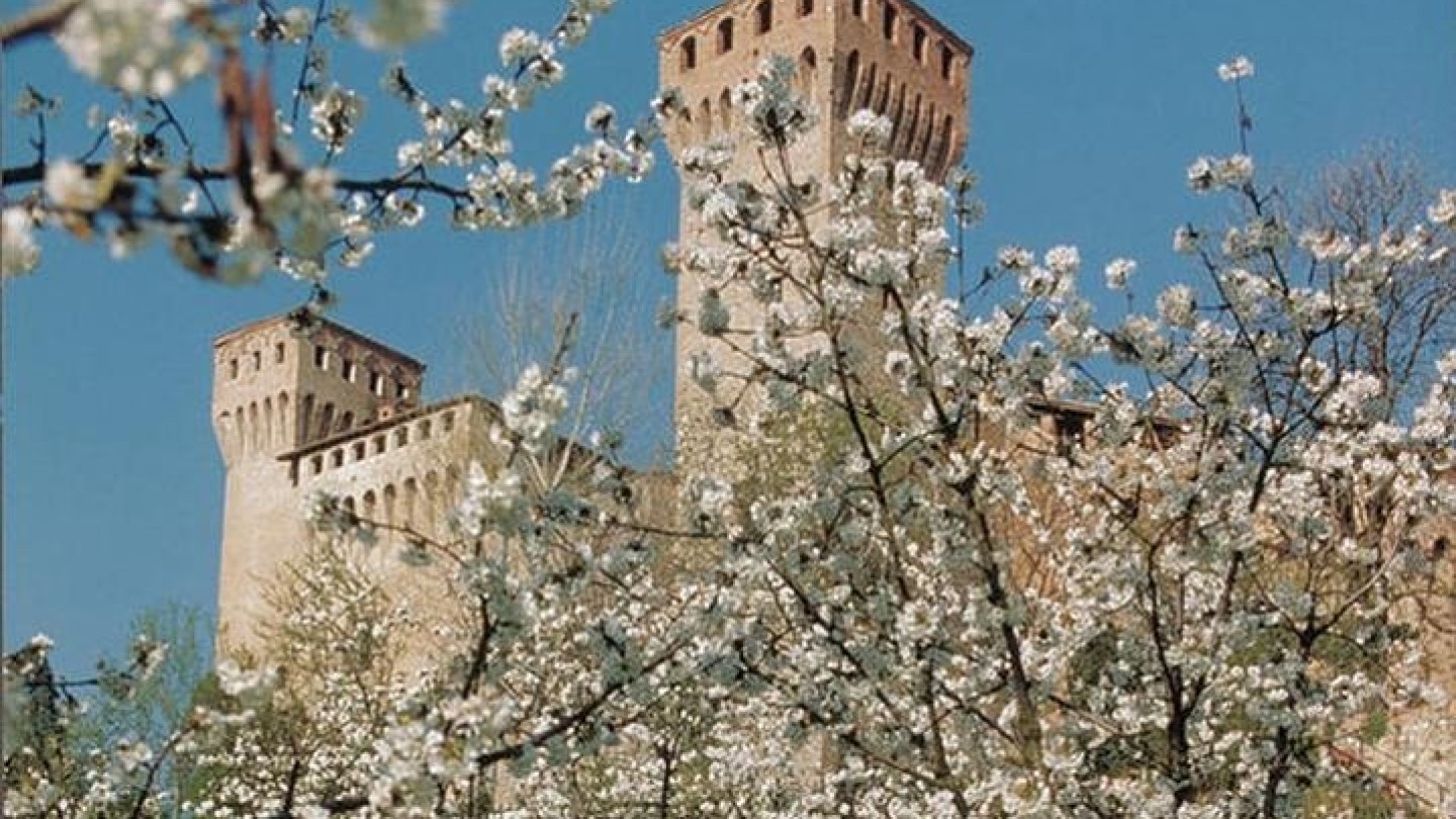 benessere-modena-olisticadvisor