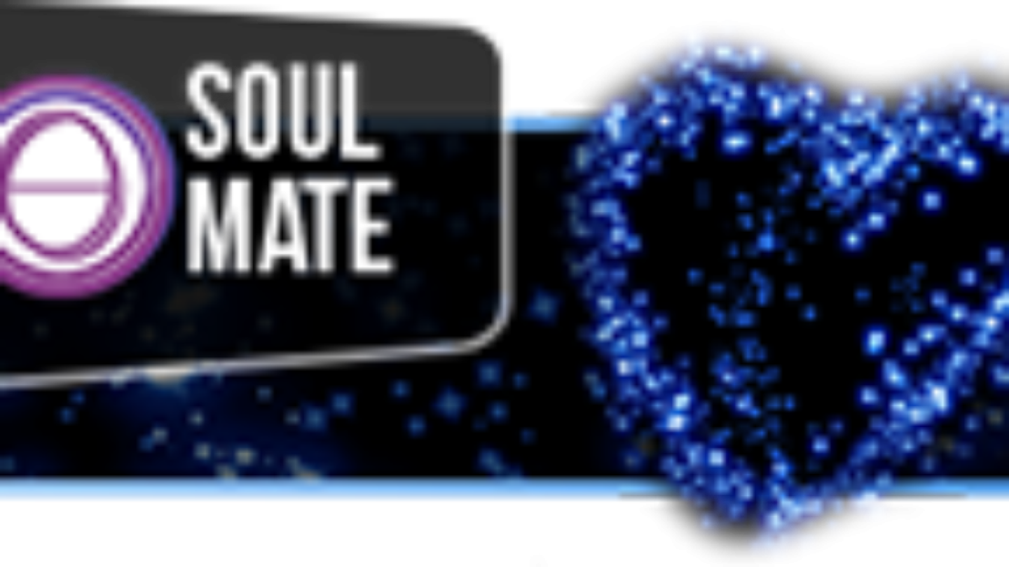 Soul Mate ThetaHealing