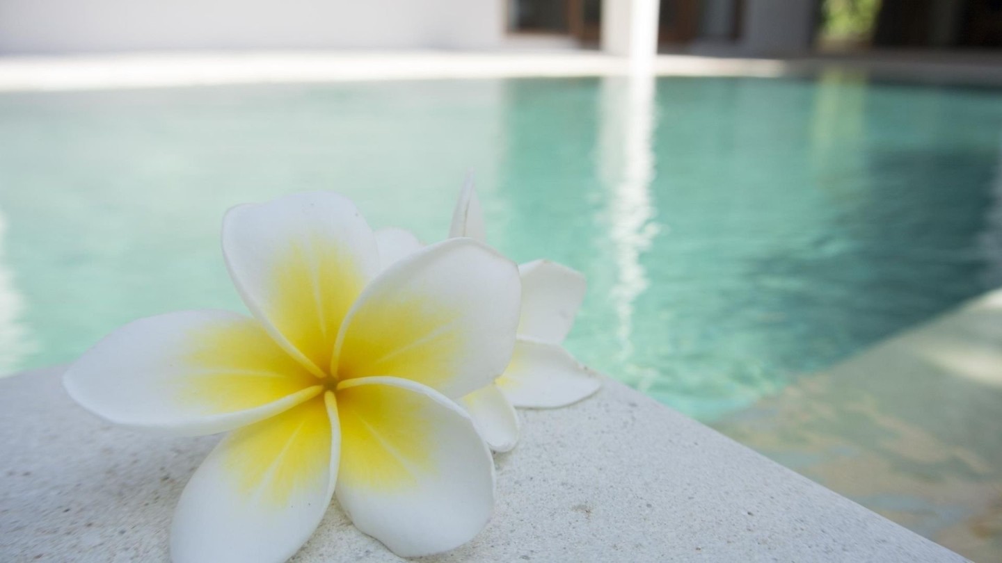 terme-roma-olisticadvisor