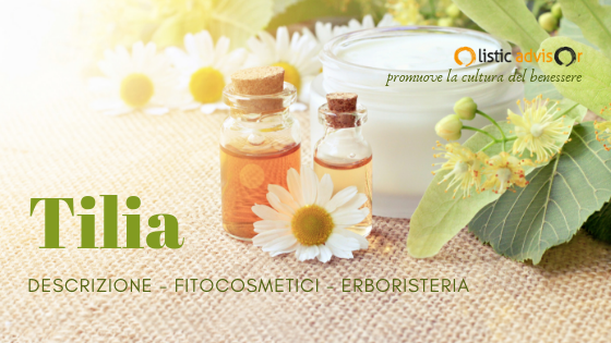 tiglio usi e descrzione olistic-advisor