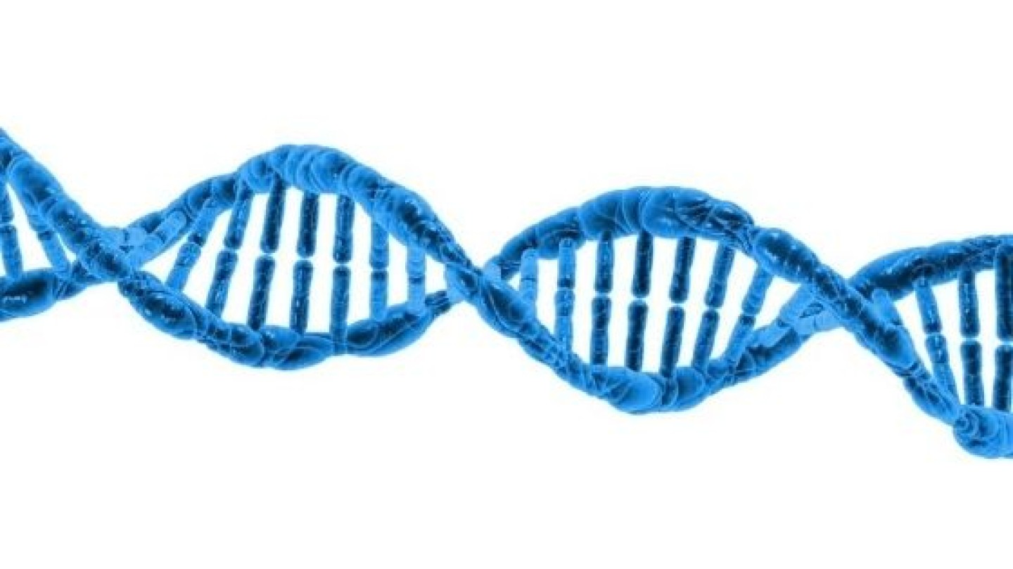 dna-olisticadvisor-corsotheta