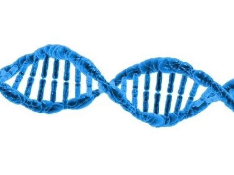 dna-olisticadvisor-corsotheta