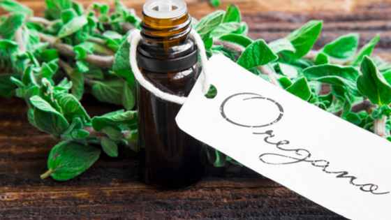 olio-essenziale-di-origano