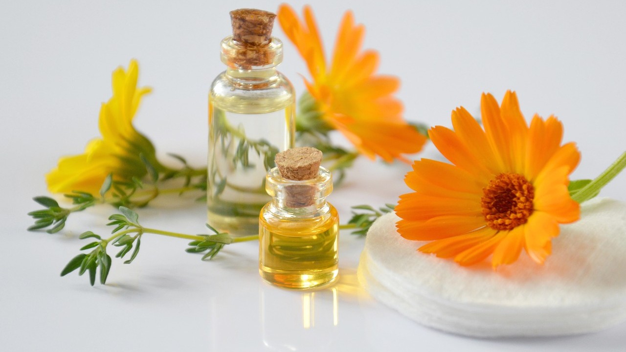 la calendula olisticadvisor