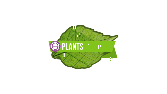 thetahealing-corso-piante-olisticadvisor thetahealing-corso-piante-olisticadvisor
