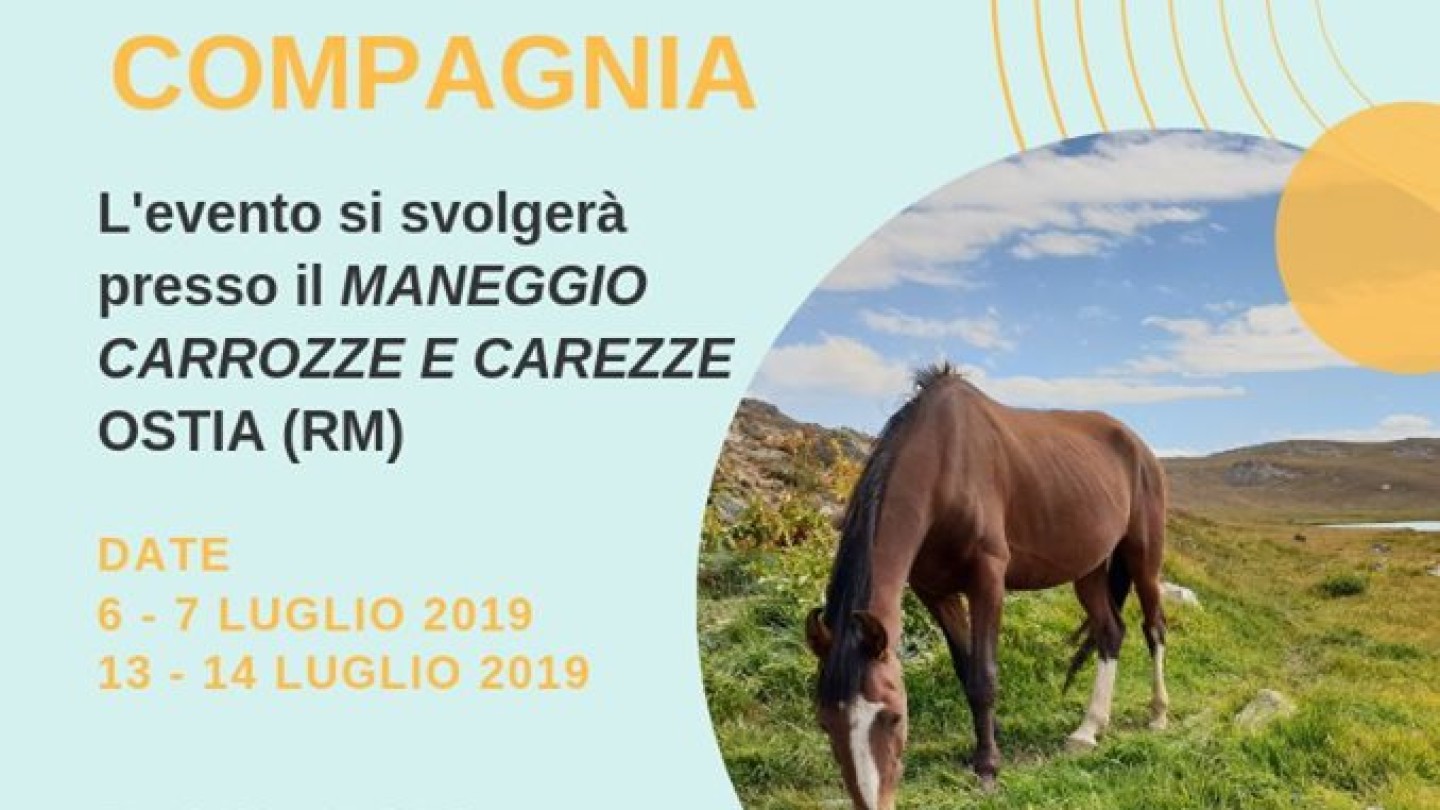 cranio sacrale animali olistic-advisor