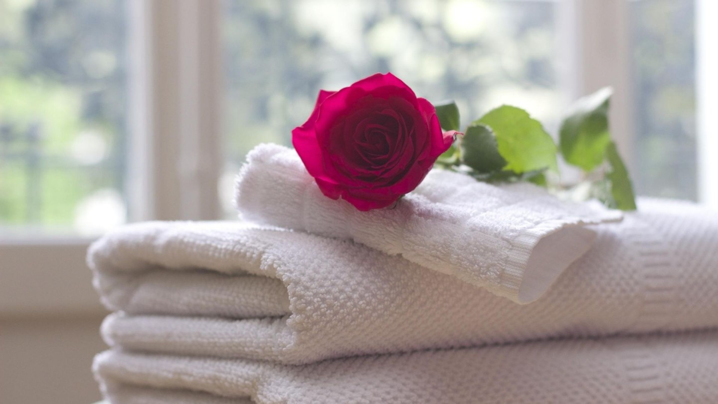 benessere-bologna-olisticadvisor